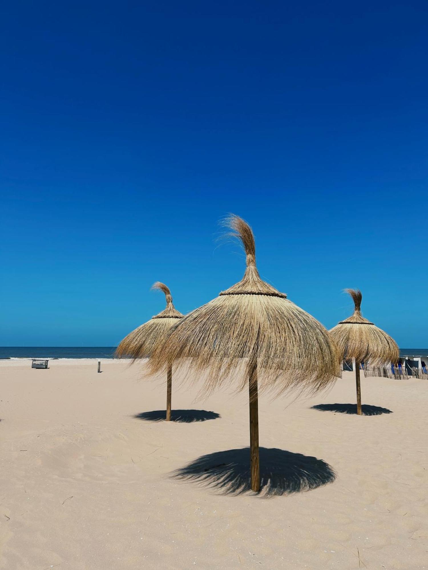 Sisters Beachbungalows Katwijk aan Zee Zewnętrze zdjęcie